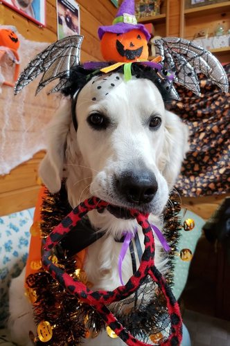 20181028_135042.jpg