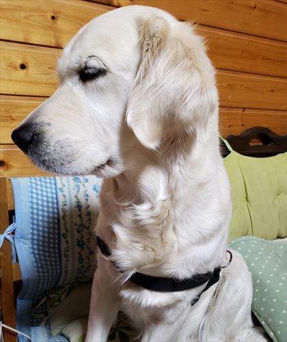 20190130_205714_R.jpg
