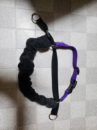 20190130_210149_R.jpg