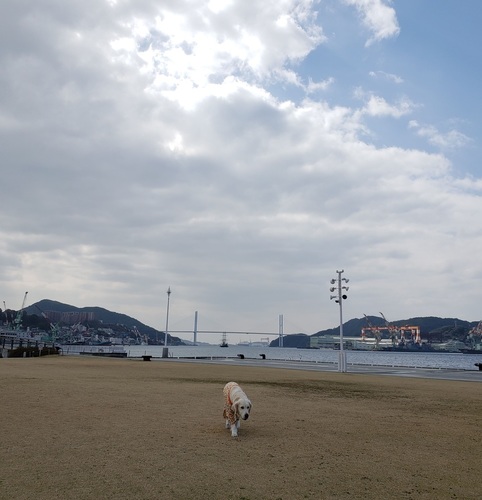 20190223_123836.jpg