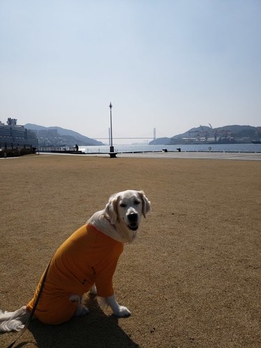 20190225_135146.jpg