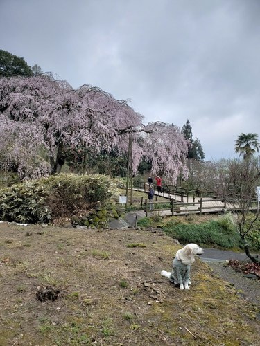 20190321_104839.jpg
