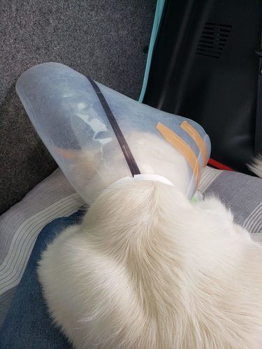 20190410_134547.jpg