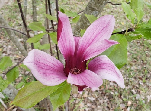 20190417_114301.jpg