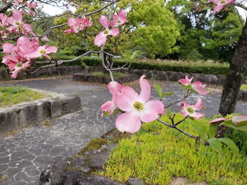 20190417_114442.jpg