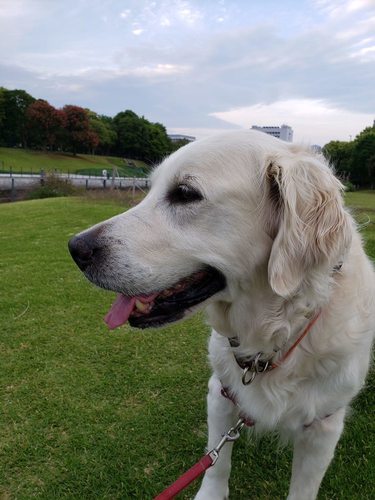 20190606_184326.jpg