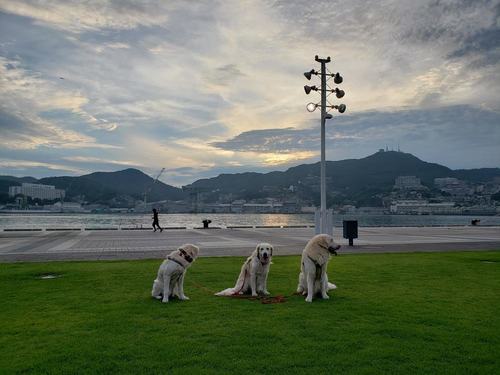 20190717_190641.jpg