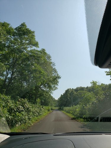 20190802_144453.jpg