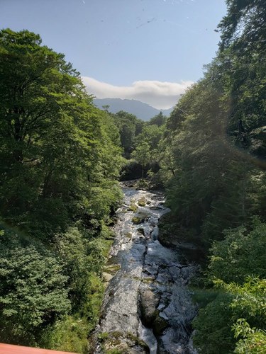 20190802_145532.jpg