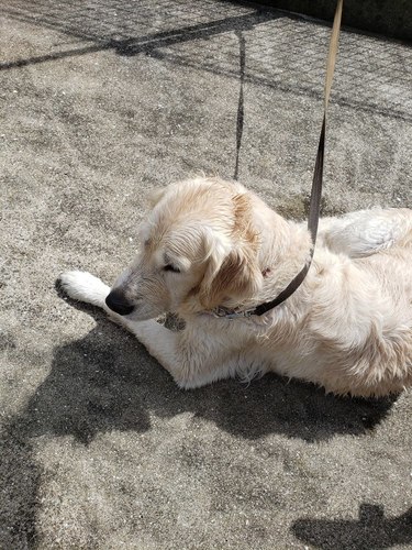 20190924_124451.jpg