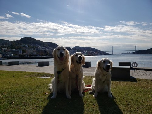 20191126_133152.jpg