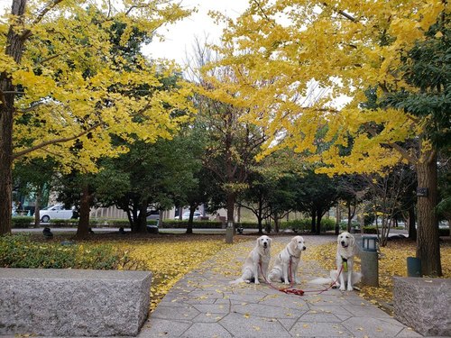 20191127_145419.jpg