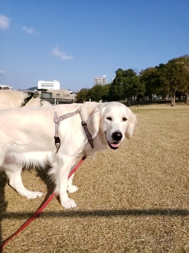 20191218_150701.jpg