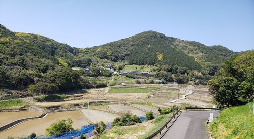 20200416_135007.jpg