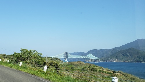 20200416_145148.jpg