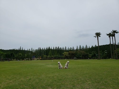 20200521_121618.jpg