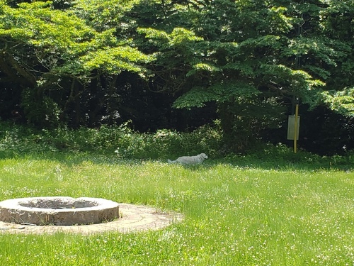 20200607_132336.jpg