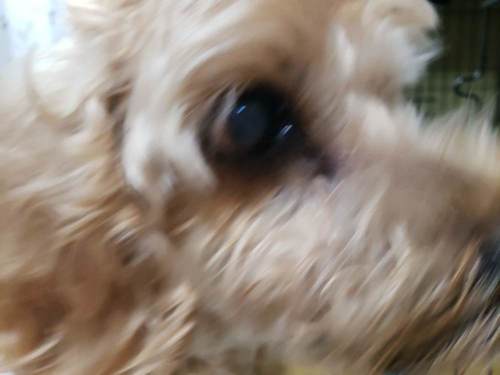 20210115_124549.jpg
