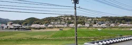 20230402_125331.jpg