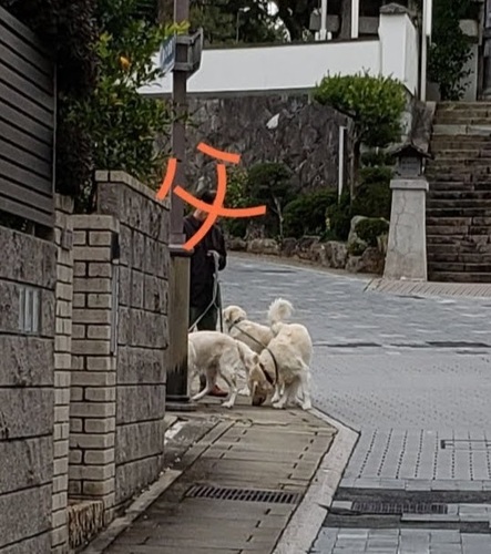 あ20181227_093444.jpg