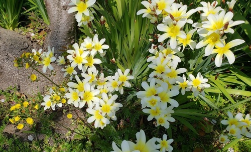 あ20190407_140328.jpg