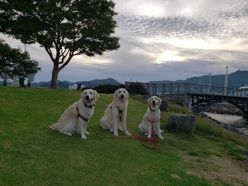 あ20190530_182536_011.jpg