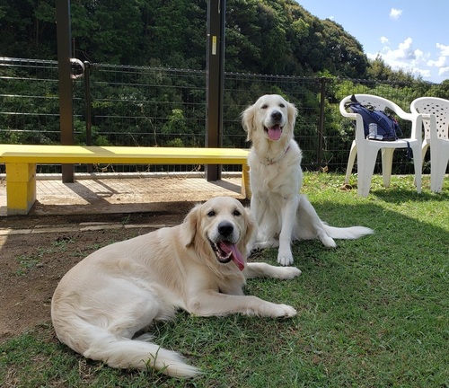 あ20190924_110435.jpg