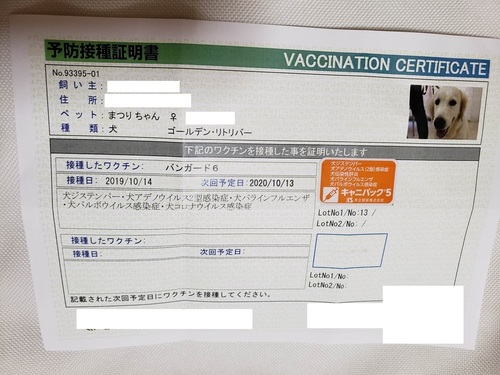 あ20191014_123957.jpg