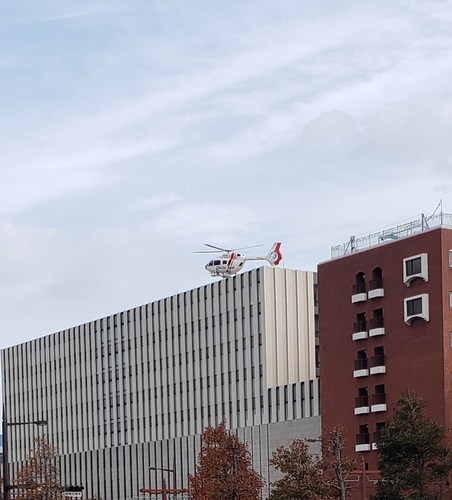 あ20191125_124319.jpg
