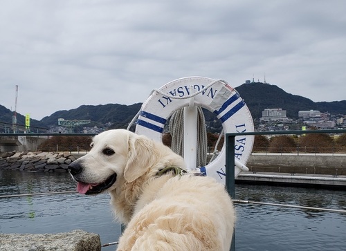 あ20200303_134240.jpg