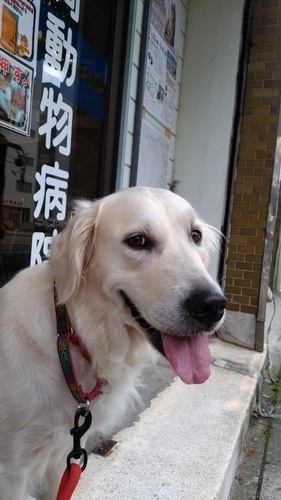 あIMG_20160617_102600-thumbnail2.jpg