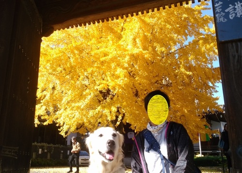 あIMG_20171128_120128.jpg