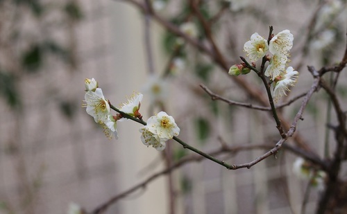 あP1211342.jpg
