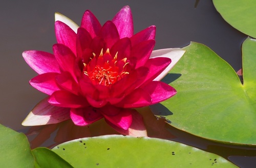 あP7151432.jpg