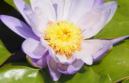 あP8290744.jpg