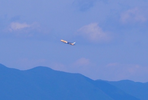 あP9220876.jpg