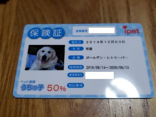 あline_1571025554750.jpg