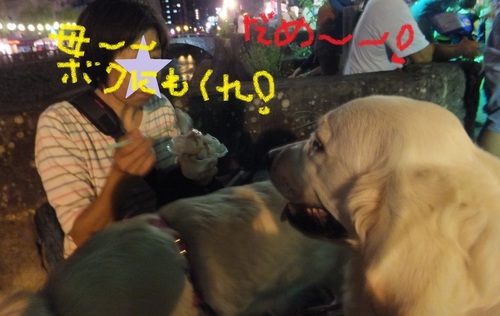ふきだし.jpg