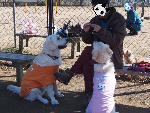 ブログ用.jpg