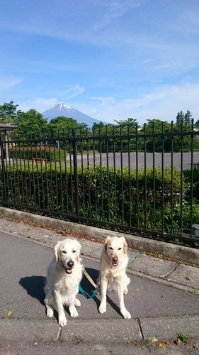 富士16‐06‐14A.jpg