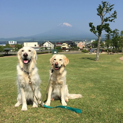 富士16‐08‐21.jpg