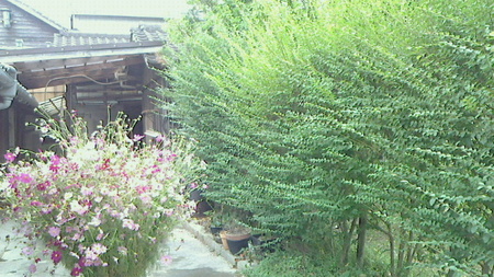 波佐見8.jpg
