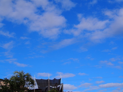 PA201856.JPG