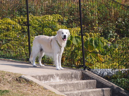 PC201054.JPG