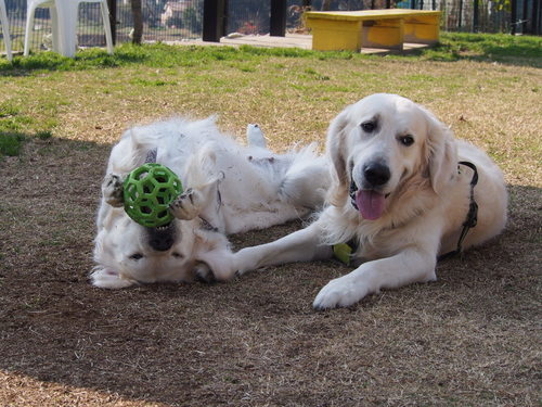 PC201133.JPG